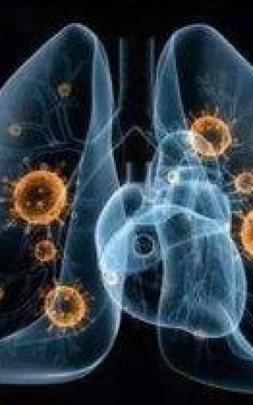 “美国新冠肺炎最新消息” 美国新冠肺炎新增最新消息？