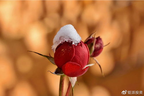 五一假.五一假期法定几天