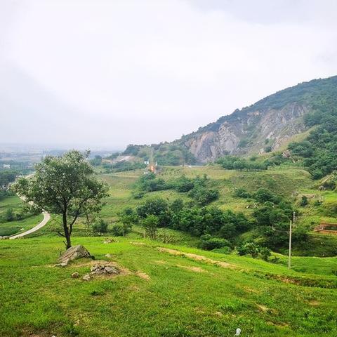 【合肥一地调为中风险/安徽合肥一地调整为中风险 视频】