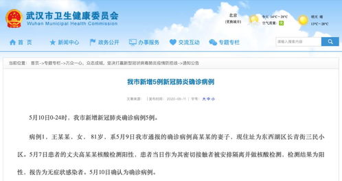 武汉查相关确诊病例,武汉查相关确诊病例结果
