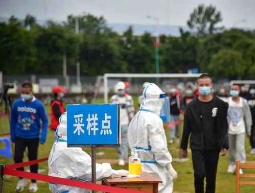 【疫情新疆/疫情新疆大火】