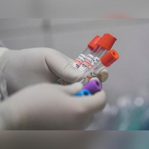 香港卫生署-香港卫生署药物办公室网