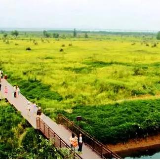 “郑州限号2020最新通知	” 郑州限号2020最新通知查询？