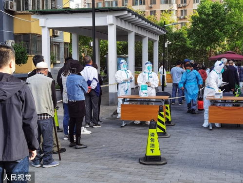 北京11区开展3轮核酸检测︰(北京启动全市核酸检测)