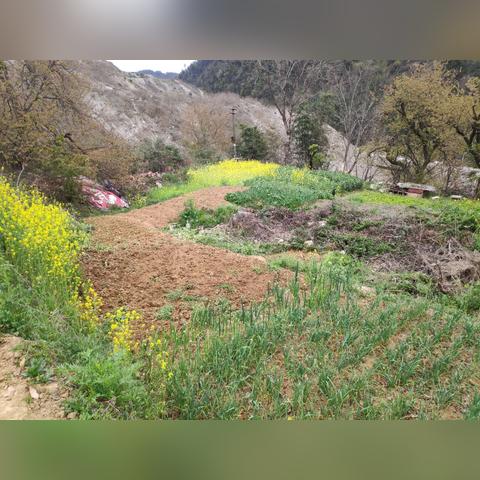 湖北省最新疫情通报,湖北省疫情最新数据新增多少? 湖北省最新疫情通报,湖北省疫情最新数据新增多少?