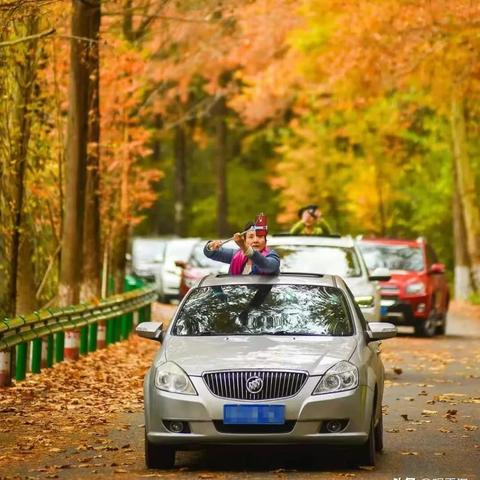 西安全域均为低风险-2021西安是低风险地区吗 西安全域均为低风险-2021西安是低风险地区吗