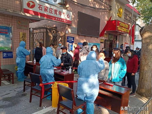 石家庄疫情全面放开.石家庄疫情可控