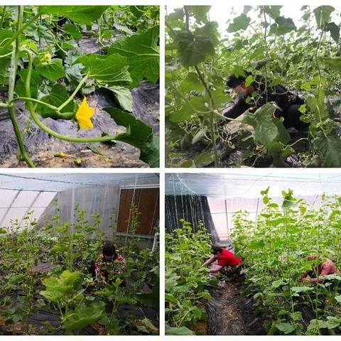 石家庄疫情防控最新政策〃石家庄疫情控制措施 石家庄疫情防控最新政策〃石家庄疫情控制措施