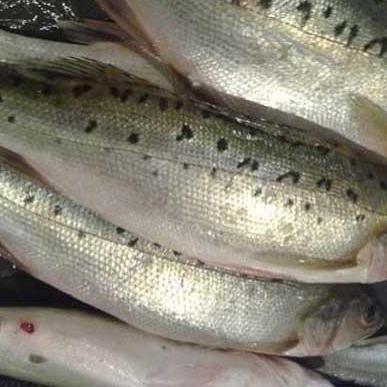 「安徽新增本土无症状41例」〃安徽新增无症状感染者病例