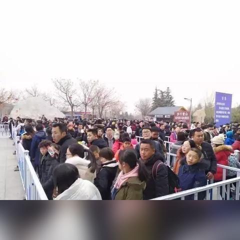 「春节放几天假」〃春节放几天假啊