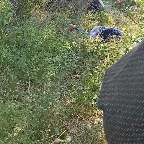 “石家庄封城	” 石家庄封城河北博物院？