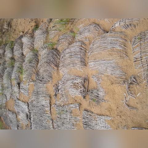 “全国有15个高风险地区” 全国已有50个高风险地区？