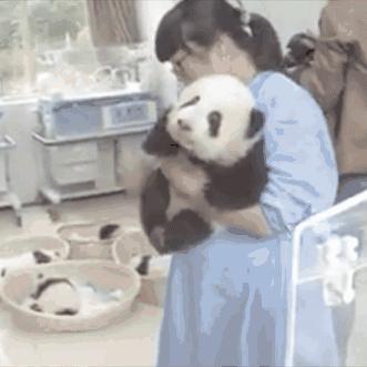 摇号查询北京-摇号查询北京官方网站