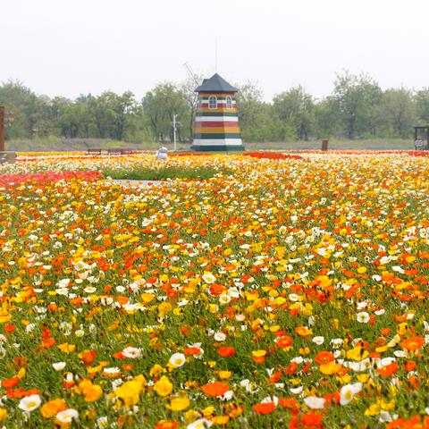 【五一进北京公共场所需48小时核酸/五一进北京公共场所需48小时核酸吗】