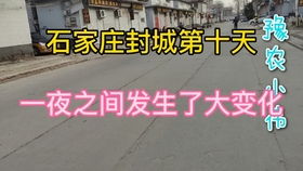 为什么不公布石家庄疫情-石家庄疫情这么严重为什么不封城