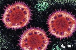 「西安新型冠状病毒」〃西安新冠病毒疫情