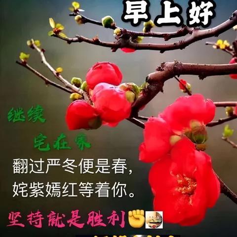 四川新冠疫情最新消息今天-四川新冠疫情最新数据