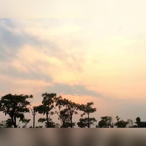 “泉州疫情最新消息分布	” 泉州疫情最新情况通报？