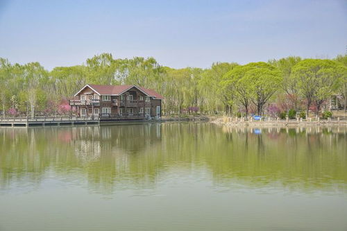 【沈阳封城最新消息/沈阳封城了 官方回应来了】