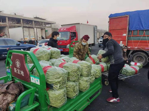 北京新发地疫情︰(北京新发地疫情病毒源头最新结论)