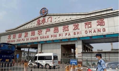 北京新发地疫情︰(北京新发地疫情病毒源头最新结论)