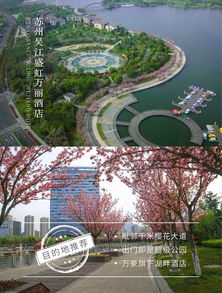 “五一国定假日” 五一国定假日三倍工资是几天？