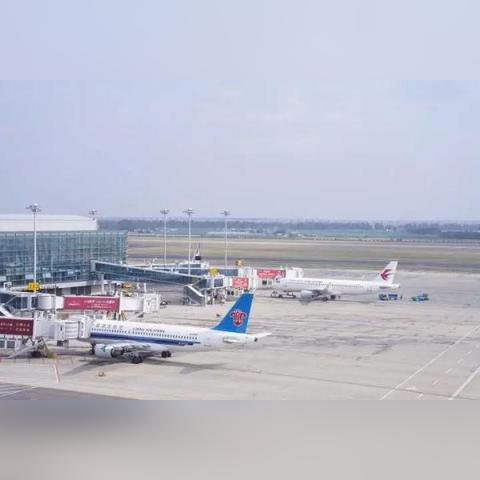 浙江本轮4起疫情为独立疫情-浙江本土确诊