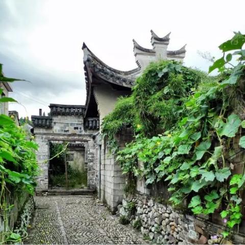 浙江本轮4起疫情为独立疫情-浙江本土确诊