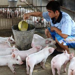 四川最新疫情通报〃四川最新消息新冠疫情