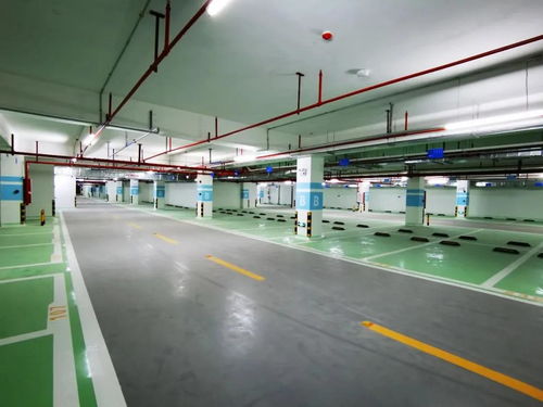 漯河市限号2021最新限号.漯河限号2020最新限号