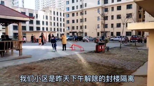 石家庄封城了吗最新消息〃石家庄封城了是真的吗