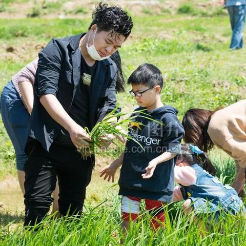 2020年4月4日黄历-2020年四月四日黄历