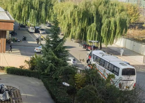 石家庄什么时候解封〃石家庄什么时候解封最新消息