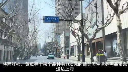 秦皇岛疫情最新消息今天封城了,秦皇岛疫情最新消息10例活动轨迹