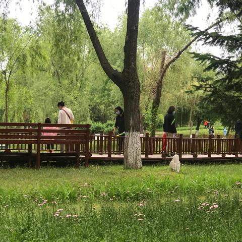 长春疫情︰(长春疫情封城是哪一年)