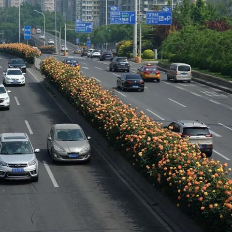 北京限行,北京限行尾号轮换
