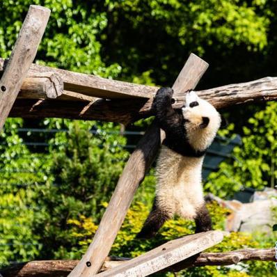 「全国肺炎最新消息人数」〃全国肺炎最新数据