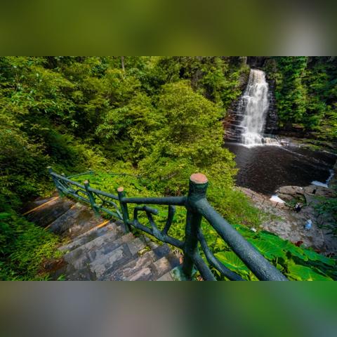 广西疫情源头.广西发生疫情