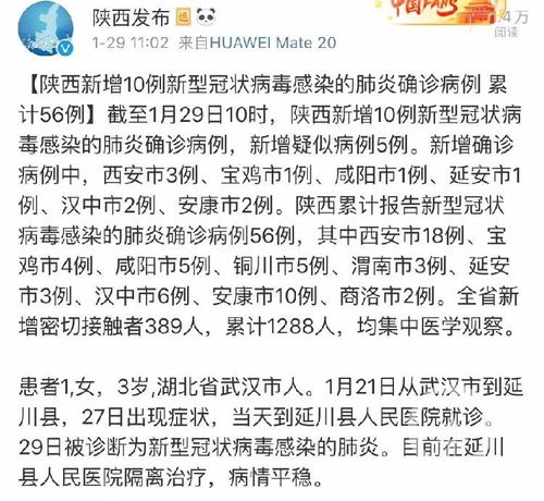 「陕西出现一名9岁新型肺炎确诊病例」〃陕西出现一名3岁确诊患者