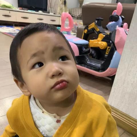 包含中国第二次疫情封城的词条