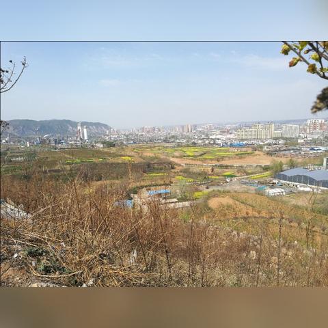 河南返乡人员最新通知,河南返乡人员最新通知政策 河南返乡人员最新通知,河南返乡人员最新通知政策