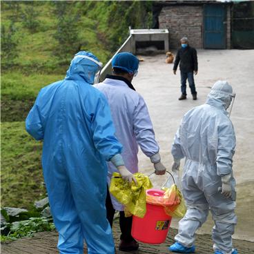 “今日重庆最新疫情” 今日重庆最新疫情情况？