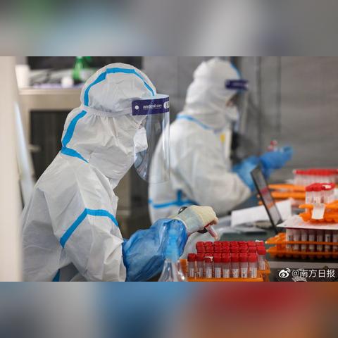 31省份新增本土确诊2例在内蒙古︰(新增病例内蒙) 31省份新增本土确诊2例在内蒙古︰(新增病例内蒙)