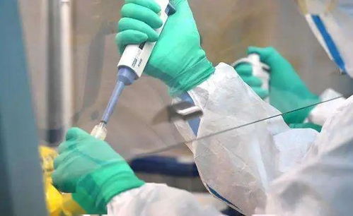 青岛无症状感染2人属早期感染者.青岛无症状感染者2例 青岛无症状感染2人属早期感染者.青岛无症状感染者2例