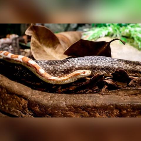 「北京一地升为高风险」〃北京高风险地区降级 「北京一地升为高风险」〃北京高风险地区降级