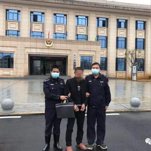 疫情最新防控政策,疫情最新防控举措消息