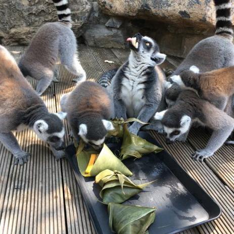 【北京:本轮疫情面临严峻挑战/北京疫情防控形势仍然严峻】