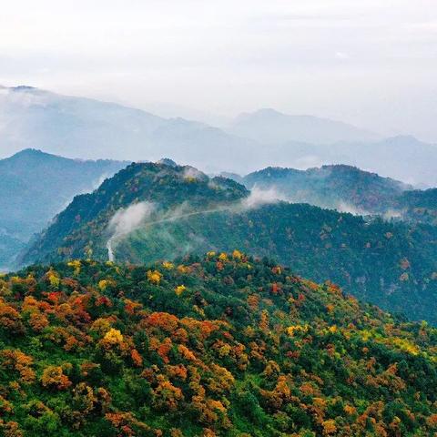 【全国22个中风险地区/全国22个中风险地区地图】