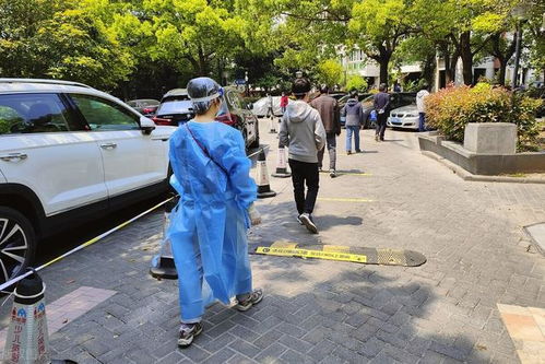 杨浦区疫情最新消息-杨浦区疫情风险等级 杨浦区疫情最新消息-杨浦区疫情风险等级