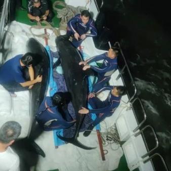 瑞丽5地调为中风险-瑞丽5地调整为中风险地 瑞丽5地调为中风险-瑞丽5地调整为中风险地